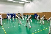 Sensei Gottfried Sándor ismét Seishin Dojoban