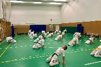 Sensei Gottfried Sándor ismét Seishin Dojoban