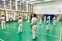 Sensei Gottfried Sándor ismét Seishin Dojoban