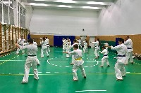 Sensei Gottfried Sándor ismét Seishin Dojoban