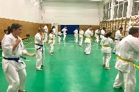 Sensei Gottfried Sándor ismét Seishin Dojoban