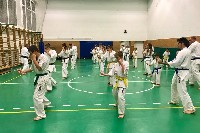 Sensei Gottfried Sándor ismét Seishin Dojoban