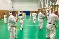 Sensei Gottfried Sándor ismét Seishin Dojoban