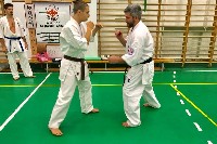 Sensei Gottfried Sándor ismét Seishin Dojoban