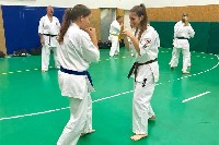 Sensei Gottfried Sándor ismét Seishin Dojoban