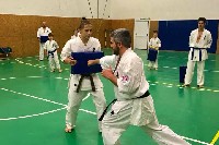 Sensei Gottfried Sándor ismét Seishin Dojoban