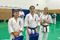 Sensei Gottfried Sándor ismét Seishin Dojoban