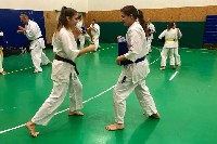 Sensei Gottfried Sándor ismét Seishin Dojoban