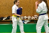 Sensei Gottfried Sándor ismét Seishin Dojoban