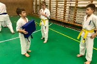 Sensei Gottfried Sándor ismét Seishin Dojoban