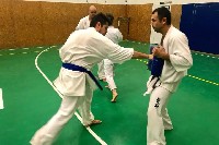 Sensei Gottfried Sándor ismét Seishin Dojoban
