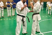 Sensei Gottfried Sándor ismét Seishin Dojoban