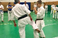 Sensei Gottfried Sándor ismét Seishin Dojoban