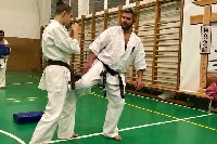 Sensei Gottfried Sándor ismét Seishin Dojoban