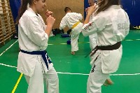 Sensei Gottfried Sándor ismét Seishin Dojoban