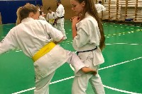 Sensei Gottfried Sándor ismét Seishin Dojoban