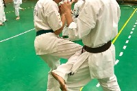 Sensei Gottfried Sándor ismét Seishin Dojoban