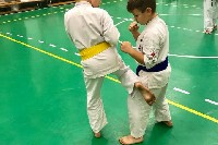 Sensei Gottfried Sándor ismét Seishin Dojoban