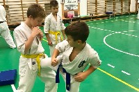 Sensei Gottfried Sándor ismét Seishin Dojoban