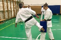 Sensei Gottfried Sándor ismét Seishin Dojoban