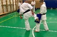 Sensei Gottfried Sándor ismét Seishin Dojoban