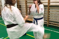 Sensei Gottfried Sándor ismét Seishin Dojoban