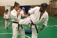 Sensei Gottfried Sándor ismét Seishin Dojoban