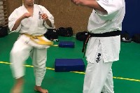 Sensei Gottfried Sándor ismét Seishin Dojoban