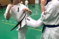 Sensei Gottfried Sándor ismét Seishin Dojoban
