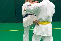 Sensei Gottfried Sándor ismét Seishin Dojoban