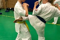 Sensei Gottfried Sándor ismét Seishin Dojoban