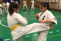 Sensei Gottfried Sándor ismét Seishin Dojoban