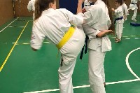 Sensei Gottfried Sándor ismét Seishin Dojoban
