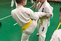 Sensei Gottfried Sándor ismét Seishin Dojoban