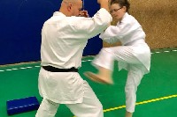 Sensei Gottfried Sándor ismét Seishin Dojoban