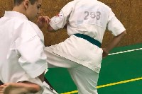 Sensei Gottfried Sándor ismét Seishin Dojoban