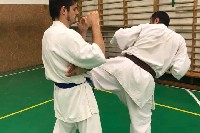 Sensei Gottfried Sándor ismét Seishin Dojoban