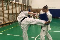 Sensei Gottfried Sándor ismét Seishin Dojoban