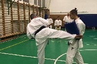 Sensei Gottfried Sándor ismét Seishin Dojoban