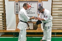 Sensei Gottfried Sándor ismét Seishin Dojoban
