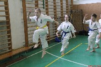 II. Sosai Oyama Memorial Kumite Training