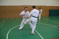 II. Sosai Oyama Memorial Kumite Training