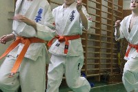 II. Sosai Oyama Memorial Kumite Training