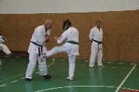 II. Sosai Oyama Memorial Kumite Training