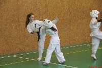 II. Sosai Oyama Memorial Kumite Training