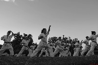IBK-IBKHF-IKO Matsushima Hungary Summer Camp 2017