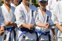 IBK-IBKHF-IKO Matsushima Hungary Summer Camp 2017