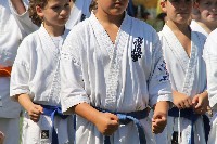 IBK-IBKHF-IKO Matsushima Hungary Summer Camp 2017
