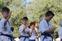 IBK-IBKHF-IKO Matsushima Hungary Summer Camp 2017