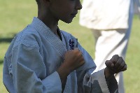 IBK-IBKHF-IKO Matsushima Hungary Summer Camp 2017